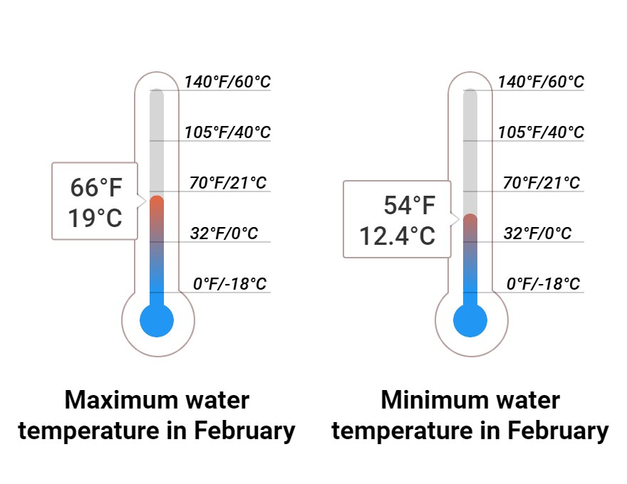 Average Sea temperature